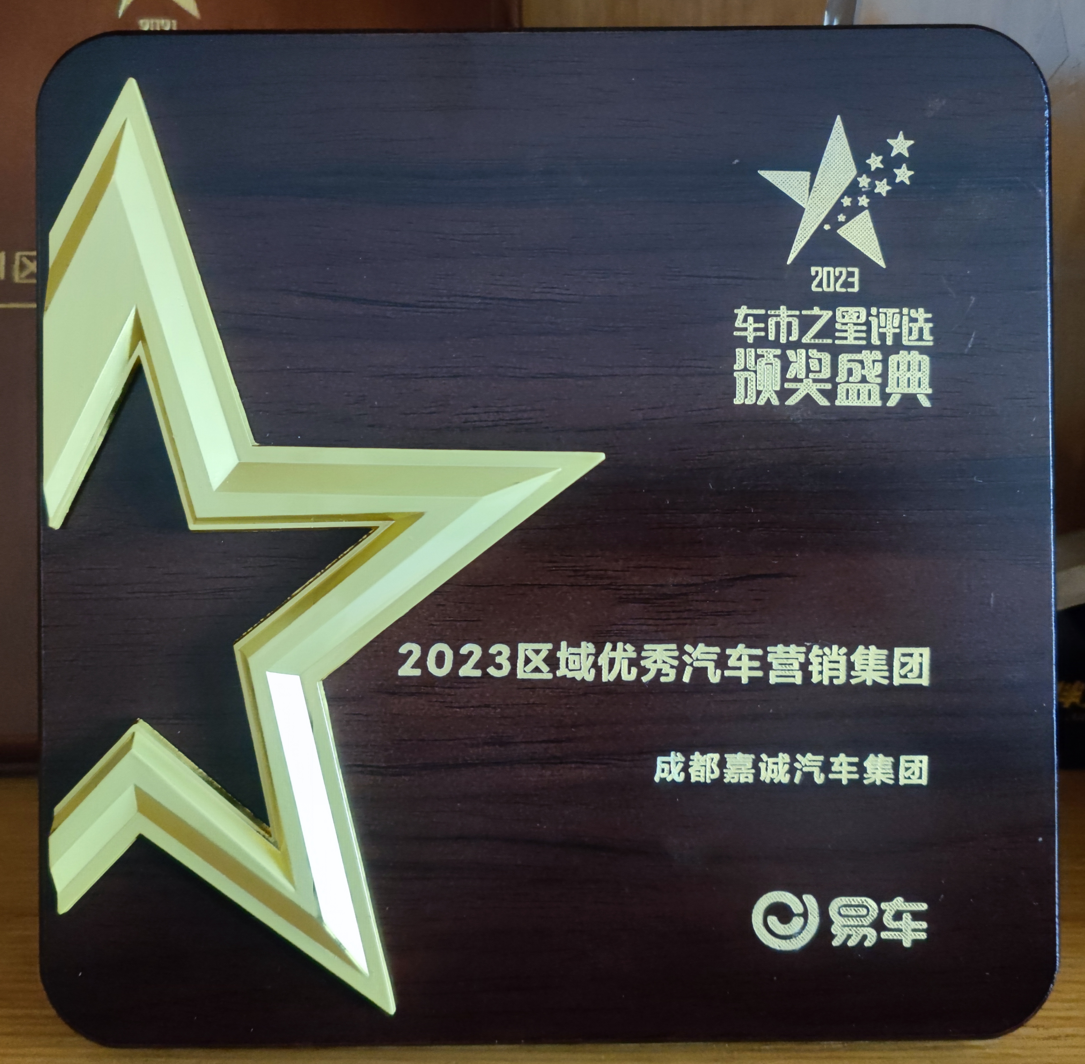 2023區(qū)域優(yōu)秀汽車營(yíng)銷集團(tuán)