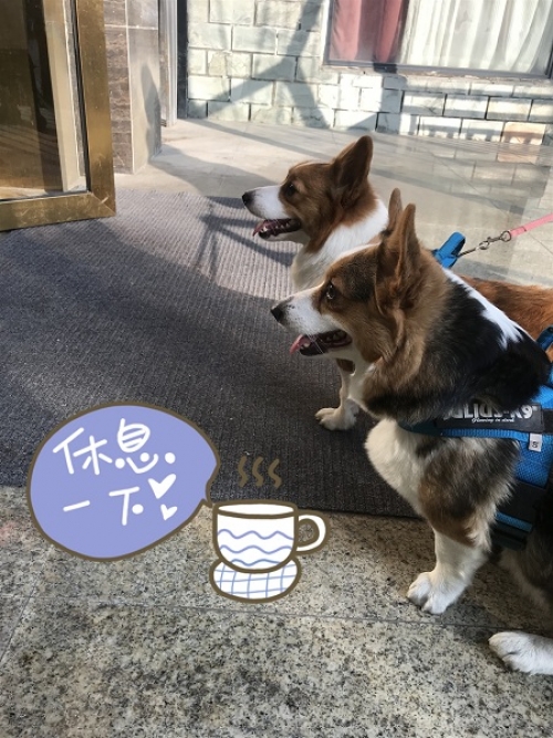 安妮和維尼.jpg